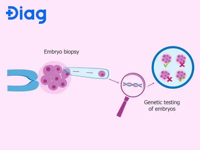 Aneuploidy Là Gì? Nguyên Nhân, Dấu Hiệu Và Tầm Soát Lệch Bội Nhiễm Sắc Thể