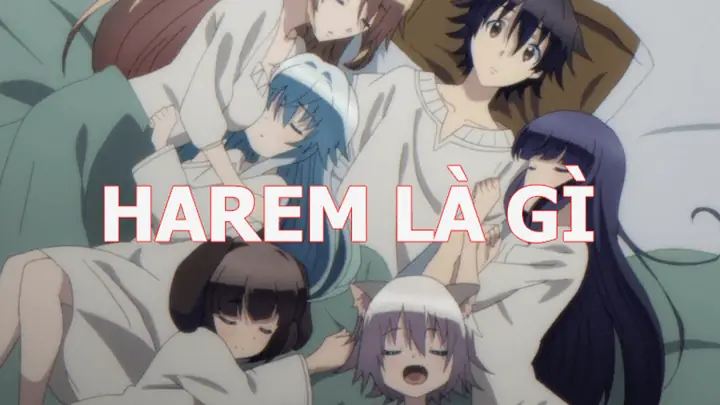 Anime Harem Là Gì? Giải Mã Sức Hút Của Thể Loại Anime Được Yêu Thích