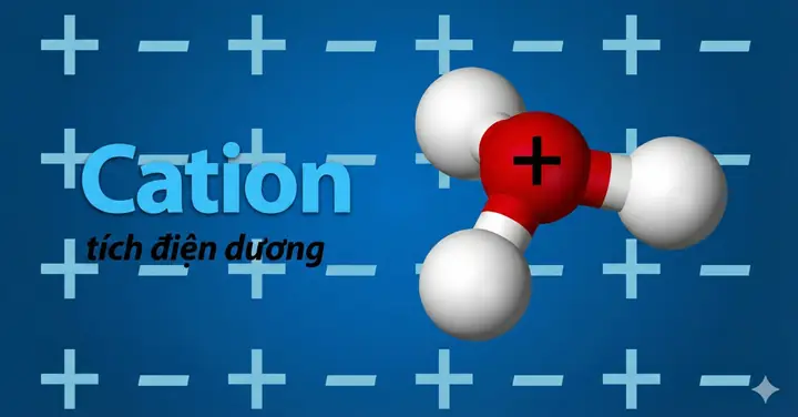 Anion Generator Là Gì? Tìm Hiểu Về Công Nghệ Ion Âm Và Ứng Dụng