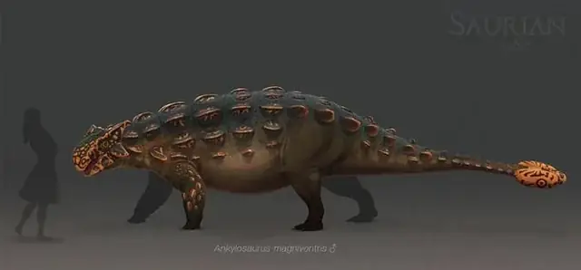 Ankylosaurus Là Gì? Đặc Điểm, Cấu Tạo Và Vai Trò Của “chiến Binh Khủng Long”