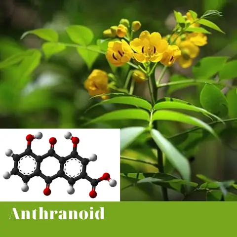 Anthranoid Là Gì? Cấu Trúc, Tính Chất Và Công Dụng Trong Dược Liệu