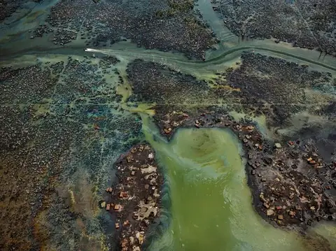 Anthropocene Là Gì? Tìm Hiểu Kỷ Nguyên Địa Chất Mới Của Con Người