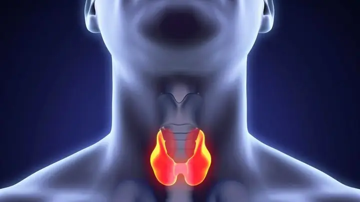 Xét Nghiệm Anti Tpo Là Gì? Ý Nghĩa Và Khi Nào Cần Thực Hiện?