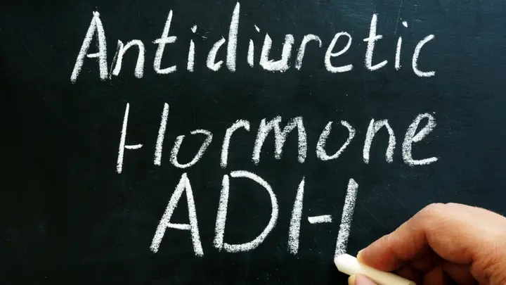 Hormone Adh Là Gì? Vai Trò Và Những Điều Cần Biết Về Hormone Chống Bài Niệu