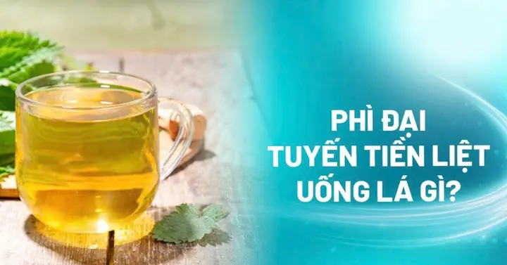 Antitumor Là Gì? Khái Niệm, Cơ Chế Hoạt Động Và Ứng Dụng Trong Điều Trị Ung Thư