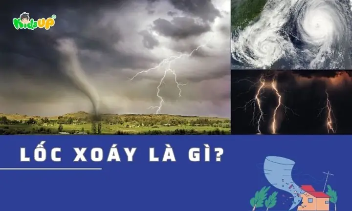 Ao Xoáy Là Gì? Cách Nhận Biết Và Thoát Khỏi Dòng Chảy Nguy Hiểm Trên Biển
