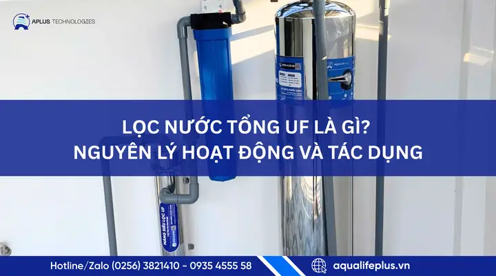 Aplus Là Gì? Khám Phá Các Lĩnh Vực Hoạt Động Đa Dạng Và Ý Nghĩa Thương Hiệu Aplus