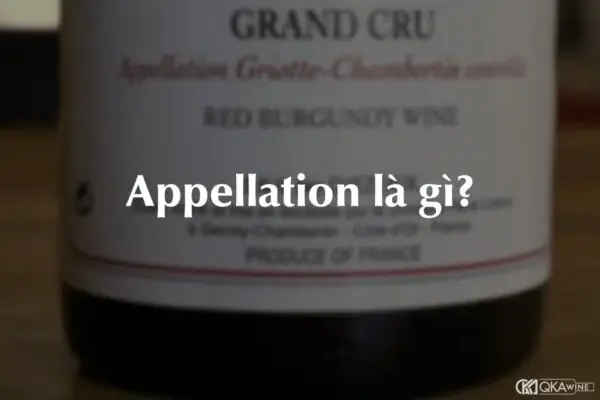 Appellation Là Gì? Định Nghĩa, Phân Loại Và Ứng Dụng Thực Tế