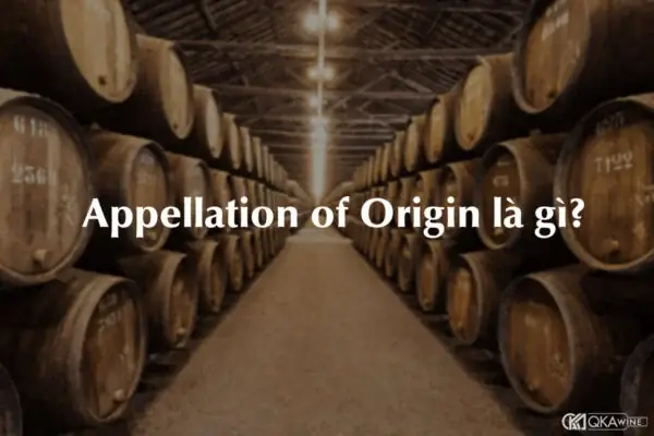Appellation Là Gì? Định Nghĩa, Phân Loại Và Ứng Dụng Thực Tế