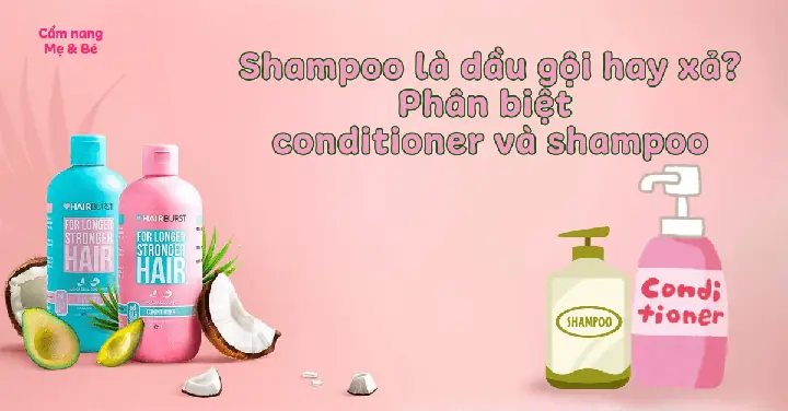 "après-shampooing" Là Gì? Giải Mã Thuật Ngữ Tiếng Pháp Cho Dầu Xả Tóc