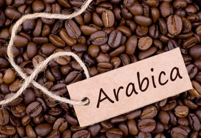 Cà Phê Arabica Là Gì? Đặc Điểm, Hương Vị Và So Sánh Với Robusta