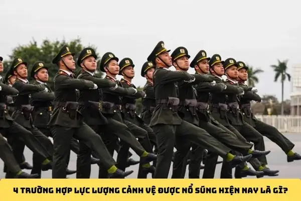 Army Dịch Là Gì? Ý Nghĩa Và Cách Dùng Phổ Biến