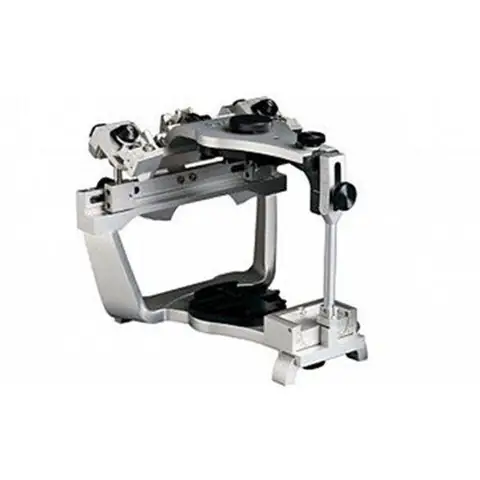 Articulators Là Gì? Giải Nghĩa Chi Tiết Về Các Cơ Quan Cấu Âm