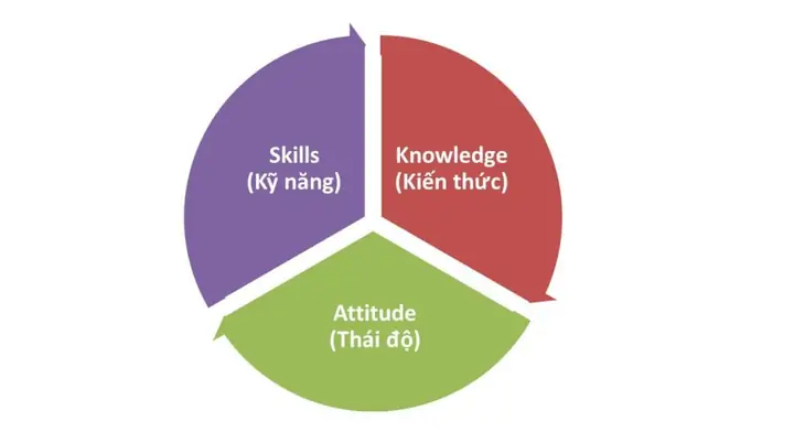 Attitudinal Là Gì? Ý Nghĩa, Cách Dùng Và Phân Biệt Với Attitude