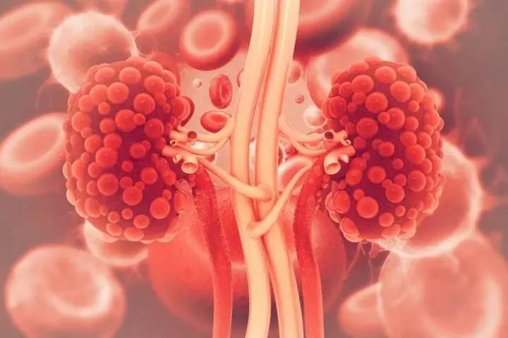 Autosomal Dominant: Tìm Hiểu Về Cơ Chế Di Truyền Gen Trội Trên Nhiễm Sắc Thể Thường