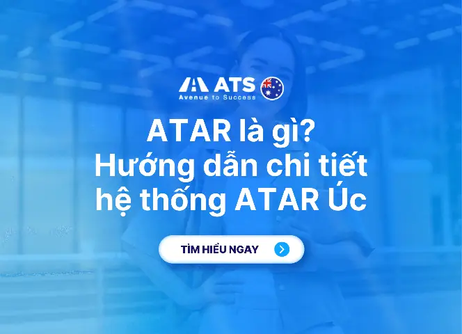 Avenue Là Gì? Nghĩa Tiếng Việt Và Các Ứng Dụng Phổ Biến