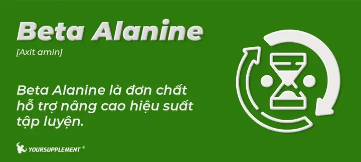 Axis Nghĩa Là Gì? Giải Thích Chi Tiết Các Khía Cạnh Từ Trục Đến Y Khoa