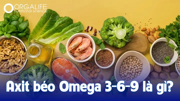 Axit Béo Omega-3 Là Gì? Tác Dụng, Nguồn Cung Cấp Và Cách Bổ Sung