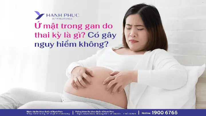 Axit Mật Là Gì? Chức Năng, Vai Trò Và Rối Loạn Liên Quan