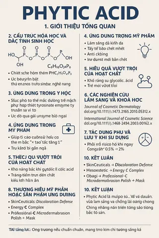 Axit Phytic Là Gì? Công Dụng, Tác Hại Và Cách Giảm Tỷ Lệ Trong Thực Phẩm