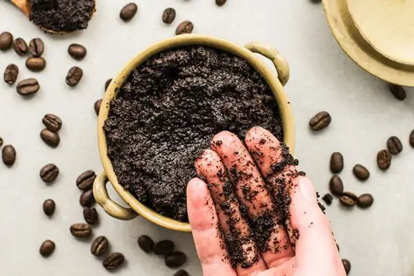 Bã Cà Phê Là Gì? Công Dụng Tuyệt Vời Và Cách Tận Dụng Hiệu Quả