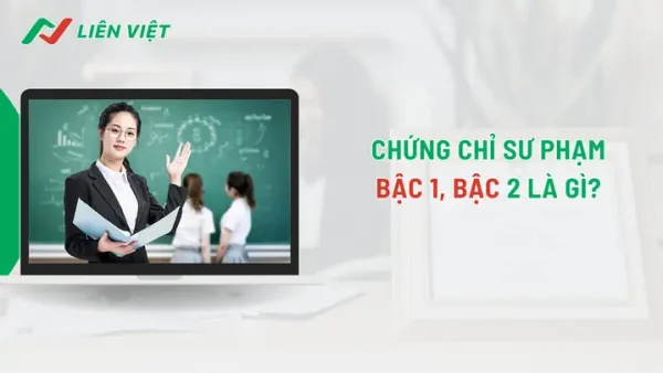 Bậc 1 Là Gì? Giải Mã Khung Năng Lực Ngoại Ngữ, Bậc Lương Và Nghề Nghiệp
