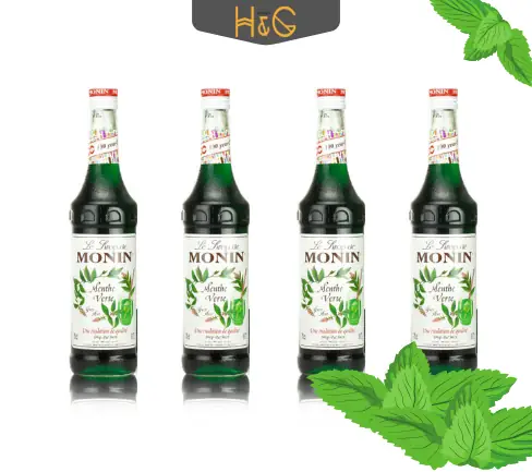 Bạc Hà Thủy Là Gì? Hướng Dẫn Trồng Và Chăm Sóc Cây Bạc Hà Thủy Canh, Thủy Sinh Tại Nhà