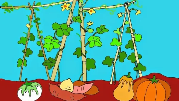 “bắc Kim Thang, Cà Lang Bí Rợ” Nghĩa Là Gì? Giải Mã Bài Đồng Dao Quen Thuộc