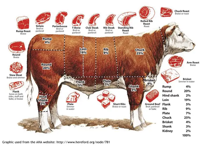 "bạc Nhạc Bò" Là Gì? Định Nghĩa, Đặc Điểm Và Các Món Ngon Phổ Biến
