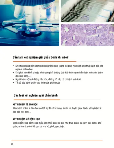 Bác Sĩ Giải Phẫu Bệnh Là Gì? Vai Trò, Chuyên Môn Và Tầm Quan Trọng