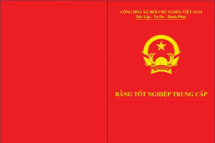 Bậc Trung Cấp Là Gì? Giải Đáp Chi Tiết Về Hệ Đào Tạo Trung Cấp Tại Việt Nam