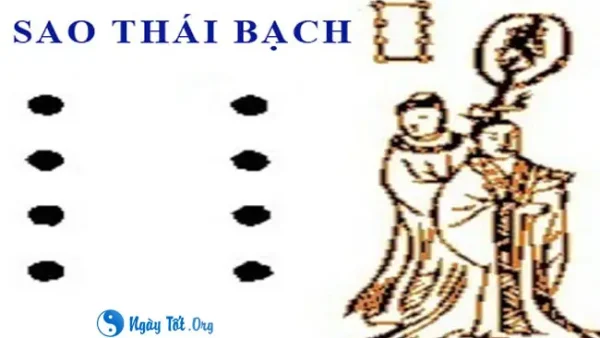 Bạch Lang Là Gì? Phân Biệt Với Bạch Biến, Lang Ben Và Các Khái Niệm Liên Quan