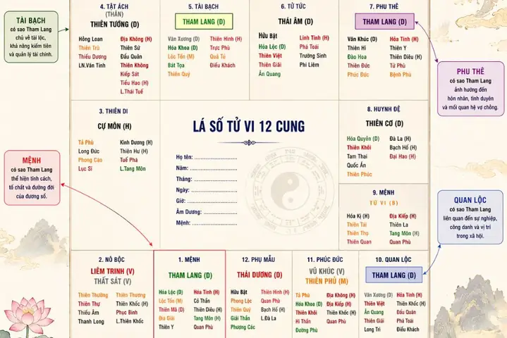 Bạch Lang Là Gì? Phân Biệt Với Bạch Biến, Lang Ben Và Các Khái Niệm Liên Quan