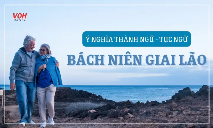 Bách Niên Giai Lão Nghĩa Là Gì? Ý Nghĩa, Nguồn Gốc Và Cách Dùng Chuẩn Xác