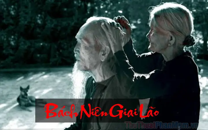 Bách Niên Giai Lão Nghĩa Là Gì? Ý Nghĩa, Nguồn Gốc Và Cách Dùng Chuẩn Xác