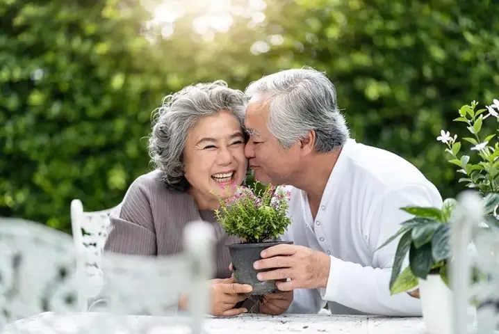 Bách Niên Giai Lão Nghĩa Là Gì? Ý Nghĩa, Nguồn Gốc Và Cách Dùng Chuẩn Xác