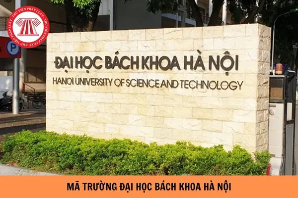 Bách Phố Là Gì? Khám Phá Ý Nghĩa Và Cách Sử Dụng Phổ Biến Nhất
