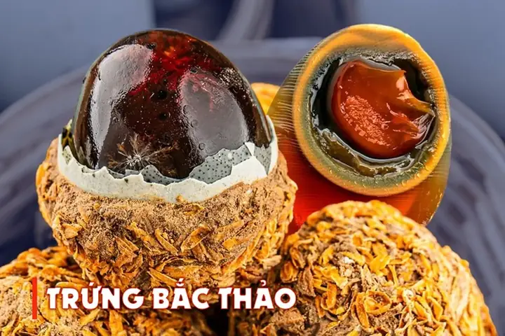 Bách Thảo Là Gì? Nguồn Gốc, Các Loại Và Công Dụng Ít Biết