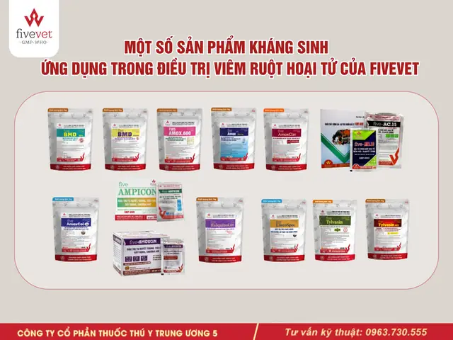 Bacitracin Methylene Disalicylate Là Gì? Công Dụng Và Ứng Dụng Trong Thú Y
