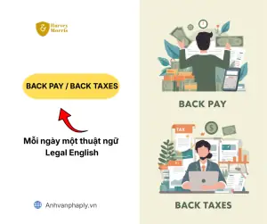 CO Giáp Lưng (back-to-back C/O) Là Gì? Quy Định Và Thủ Tục Chi Tiết