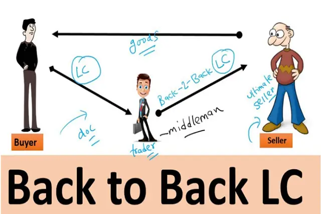 CO Giáp Lưng (back-to-back C/O) Là Gì? Quy Định Và Thủ Tục Chi Tiết