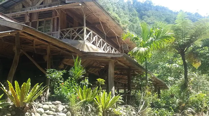 “back To Nature” Là Gì? Ý Nghĩa Và Cách Áp Dụng Lối Sống Hòa Mình Với Thiên Nhiên