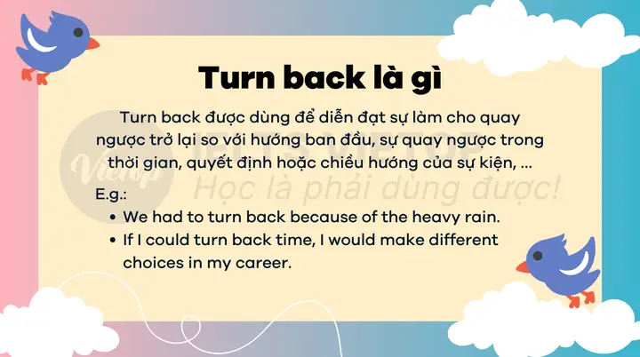 Backy Là Gì? Giải Đáp Ý Nghĩa Và Các Thuật Ngữ Liên Quan
