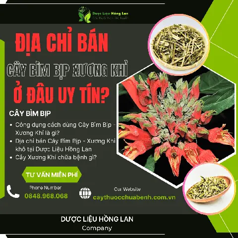 "bài Bịp" Là Gì? Tìm Hiểu Các Thủ Thuật Gian Lận Trong Cờ Bạc