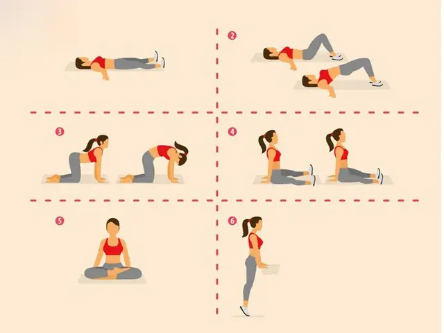 Bài Tập Kegel Cho Nữ: Hướng Dẫn Chi Tiết Từ A-Z Và Lợi Ích Không Ngờ