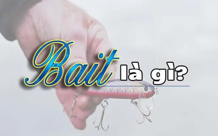 Bait Trên Facebook Là Gì? Định Nghĩa, Cách Nhận Biết Và Các Dạng Phổ Biến