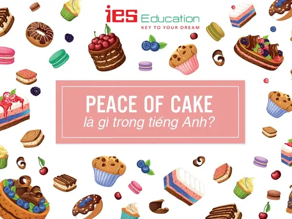 Bake Sale Là Gì? Định Nghĩa, Mục Đích Và Cách Tổ Chức