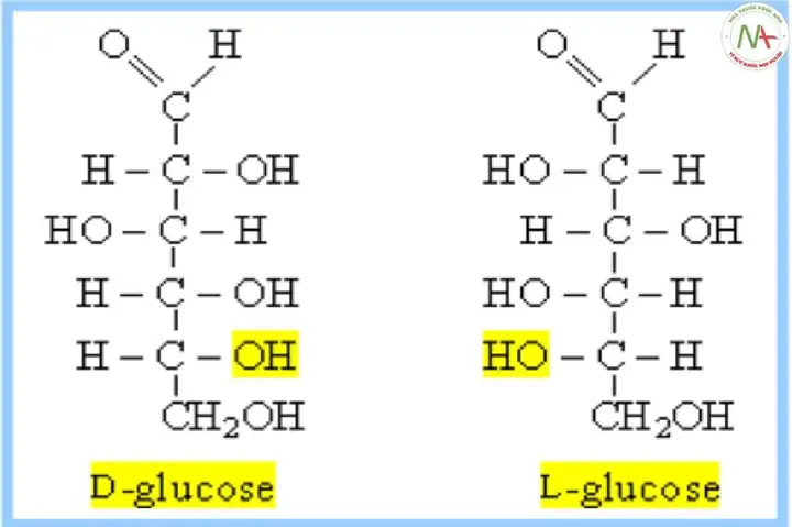 OH Bán Acetal Là Gì? Định Nghĩa, Vai Trò Trong Carbohydrate & Ứng Dụng