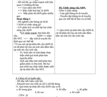 Bản Chất Hóa Học Của Gen Là Gì? Cấu Trúc, Chức Năng & Ý Nghĩa