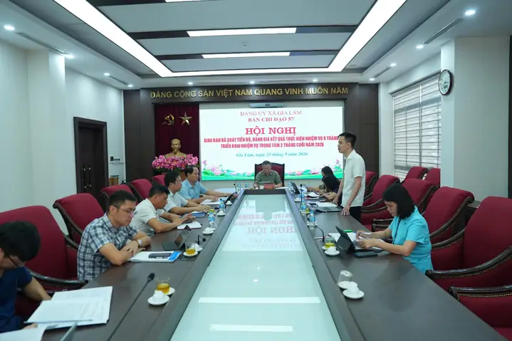 Ban Chỉ Đạo 09 Là Gì? Vai Trò, Chức Năng Và Các Trường Hợp Liên Quan